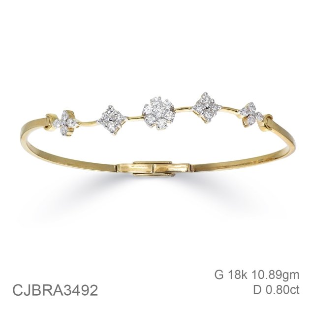 Bangle (CJBAN3492)