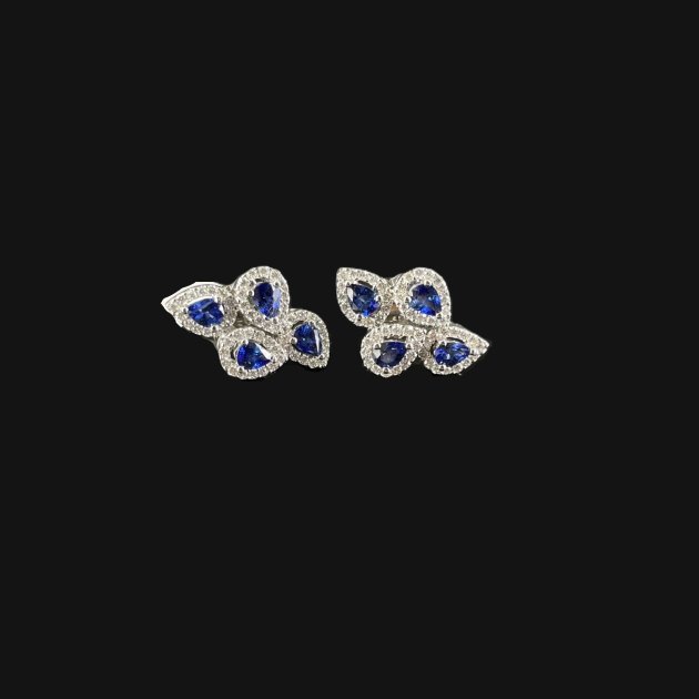 Earrings (CJER6061)