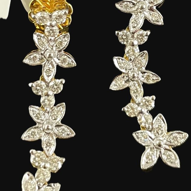 Earrings (CJER5723)